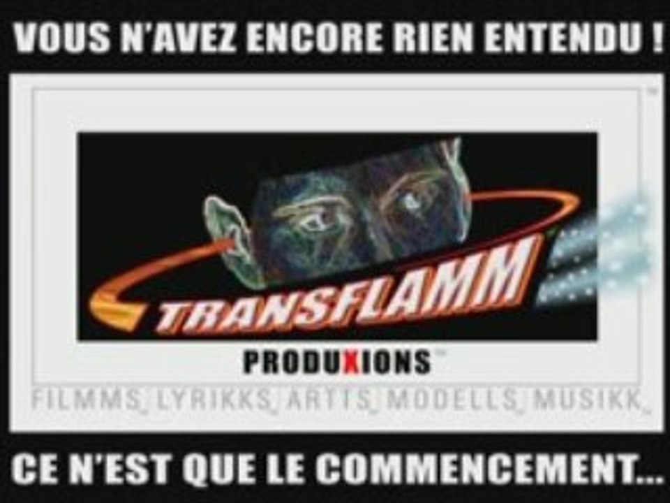 DRAGONMODELL-TRANSFLAMM TT2_FRENCH