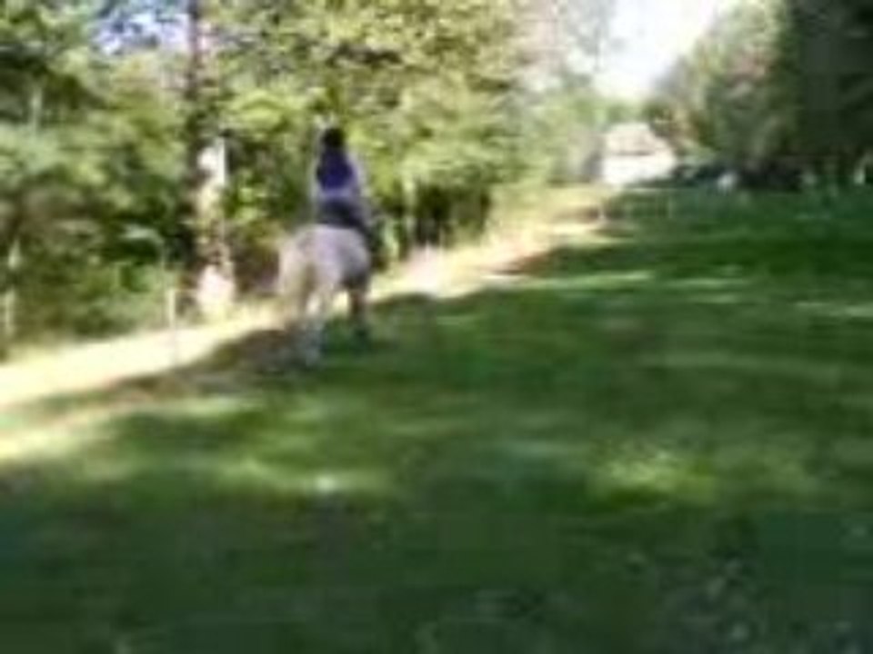 MOI CROSS 1
