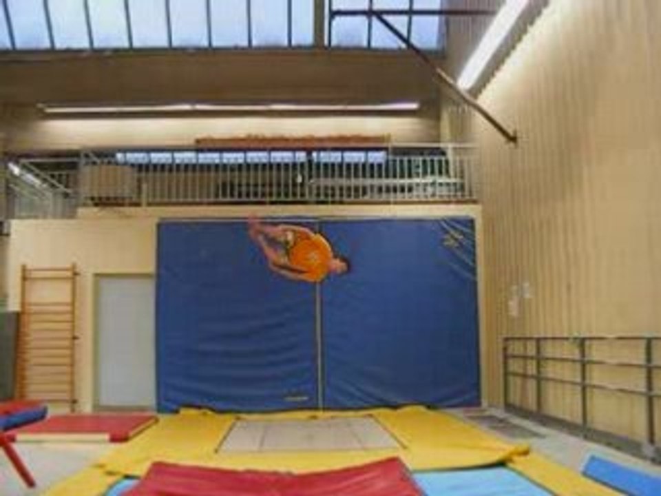 Montage Novembre 2008 trampo