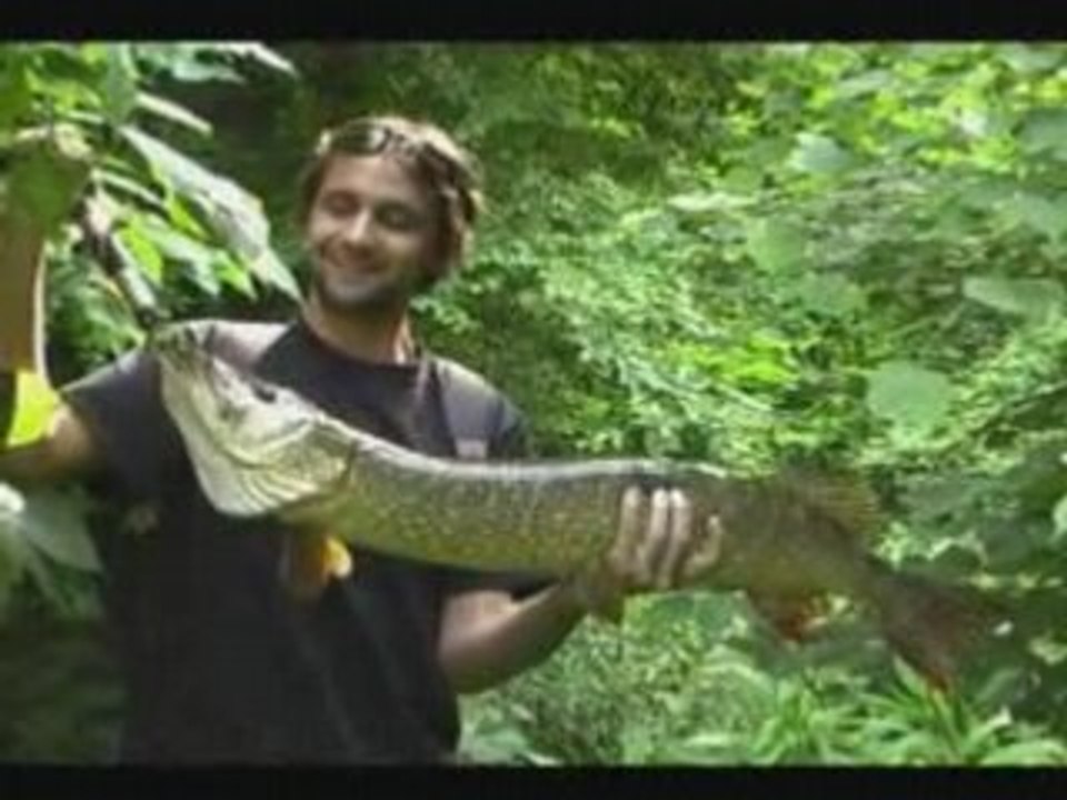 Carnassier - leurre - roots-fishing 2008