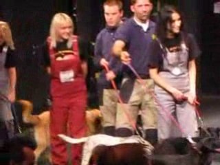 timbuktu team: people & dogs