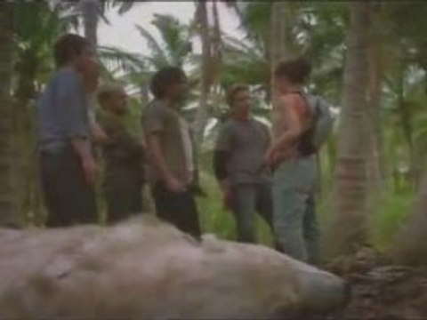 Incredibly Realistic Polar Bear Replica Created for LOST