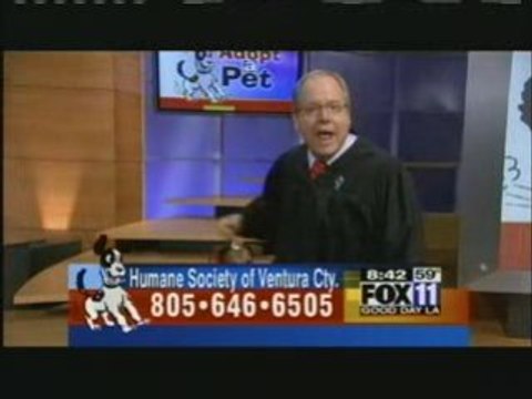 THANK DOG it's FRIDAY - JUDGE DAVID on GDLA