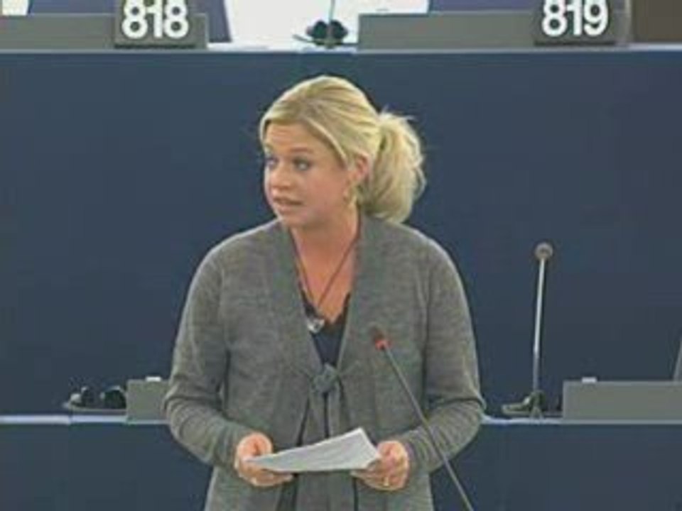 Jeanine Hennis-Plasschaert on Employment