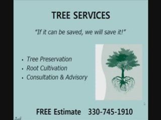 Pest Control Akron Ohio