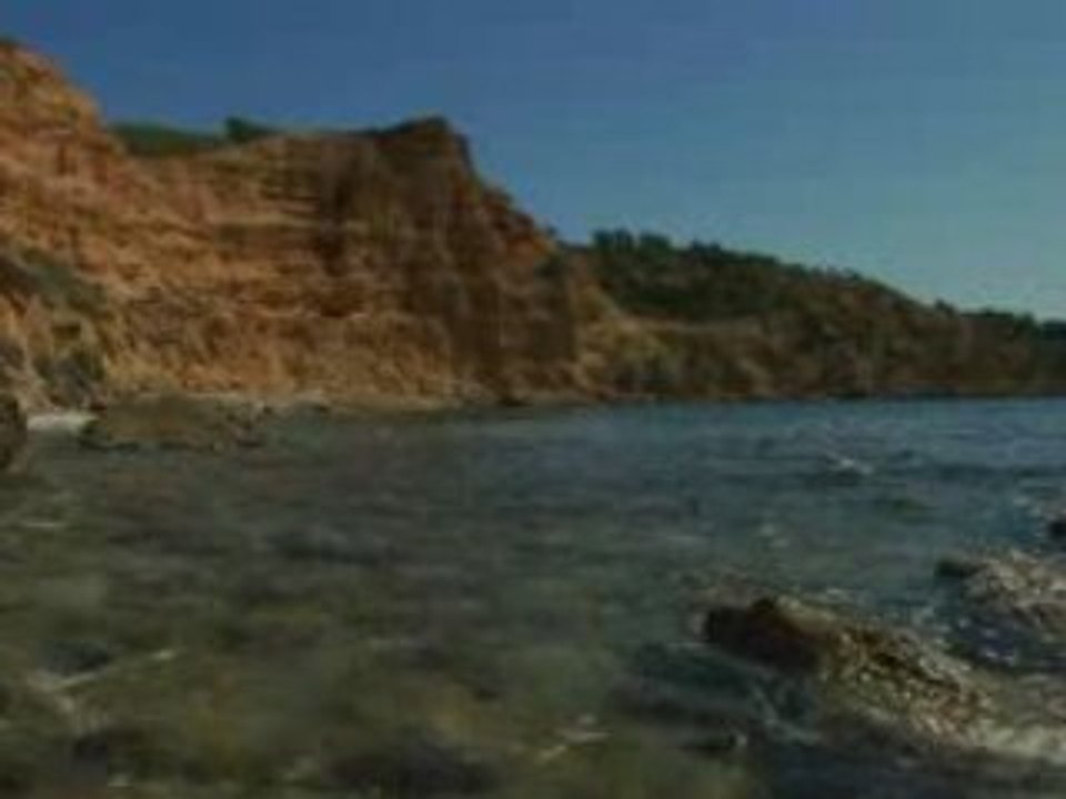 Vista