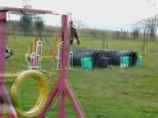 Entrainement automnal