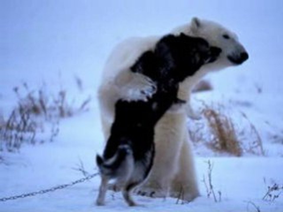 Rencontre Magique...