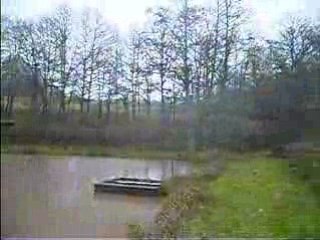 Pluie et vent à l'étang