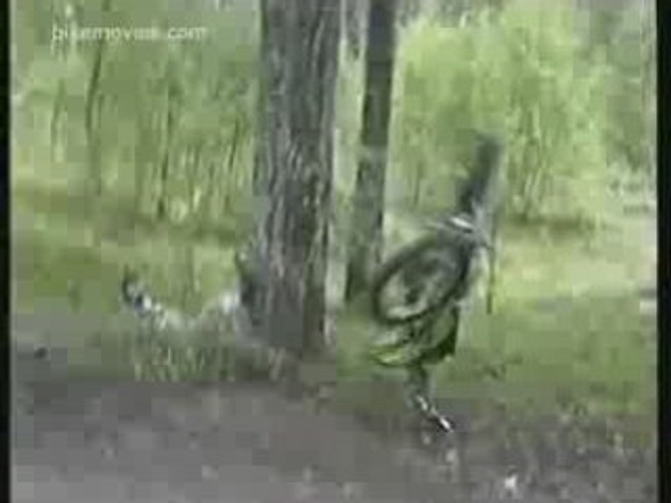 - Faces of Death - Motocross - KX 80 Crash