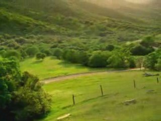 Crash voiture trop con