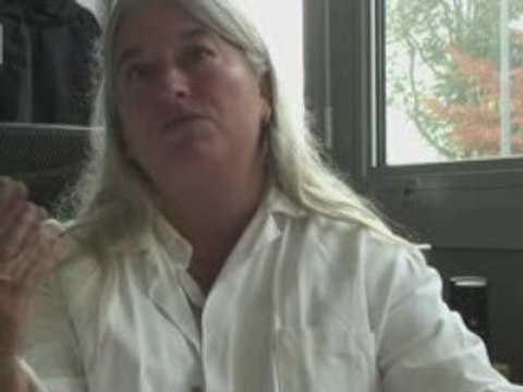 Du plastique dans les testicules