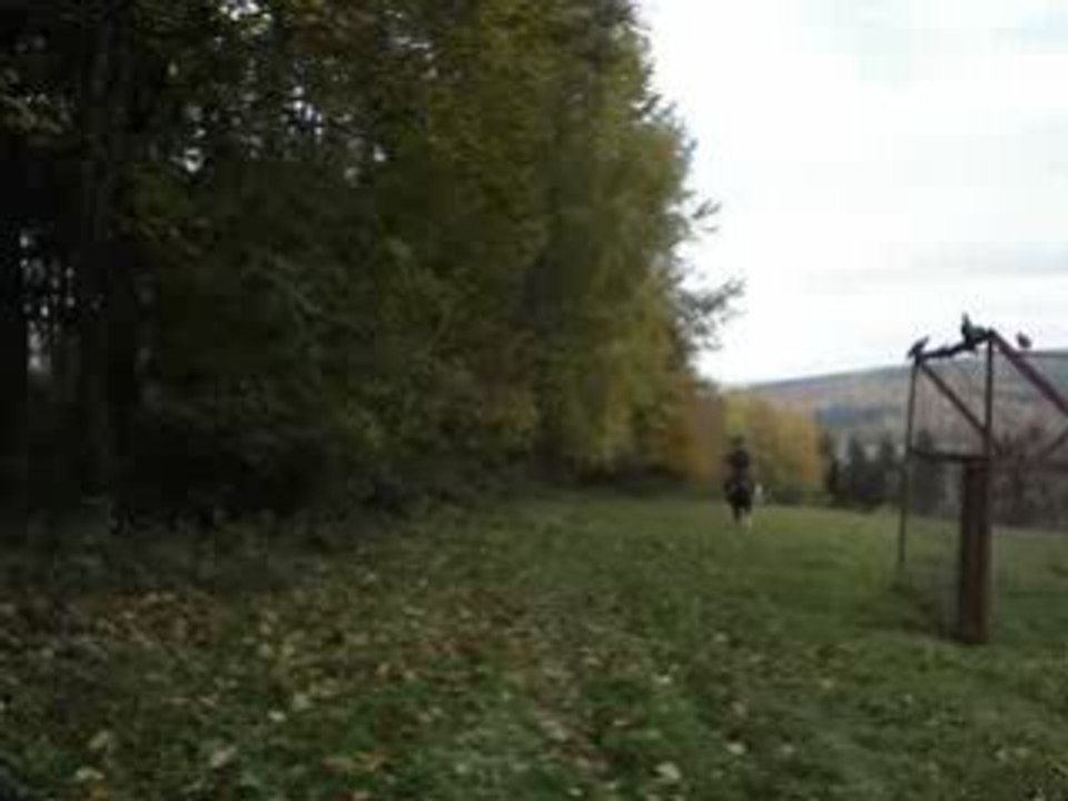 galop avec princesse