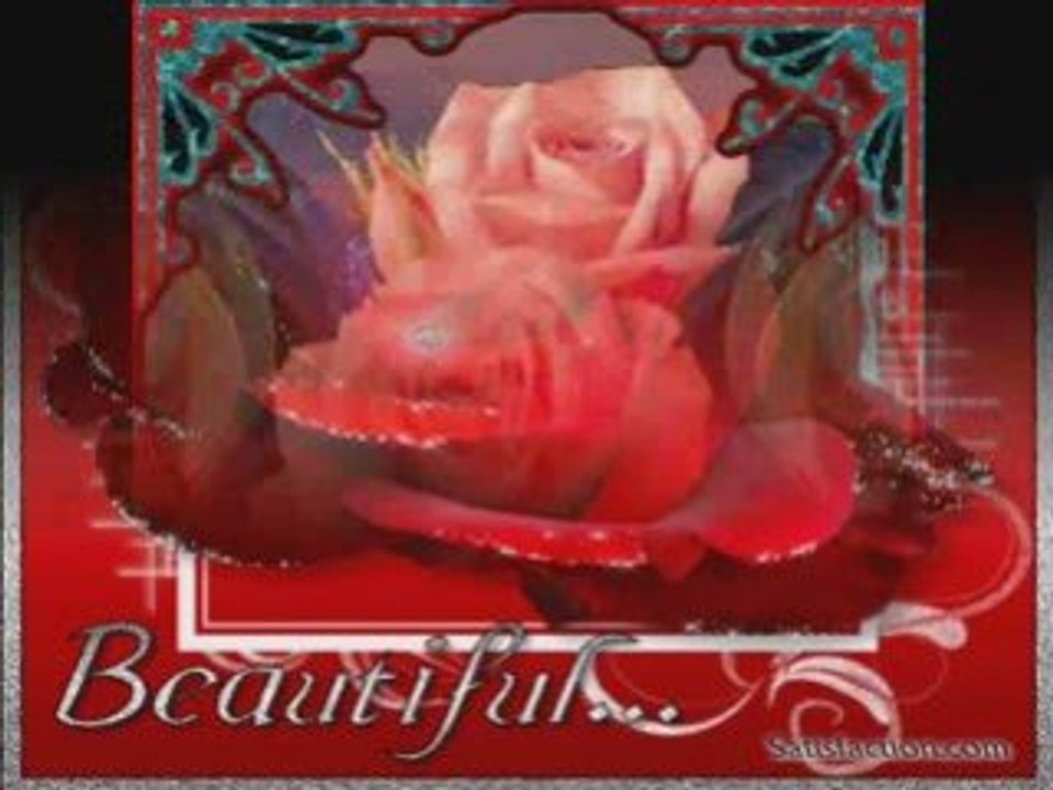 La rose