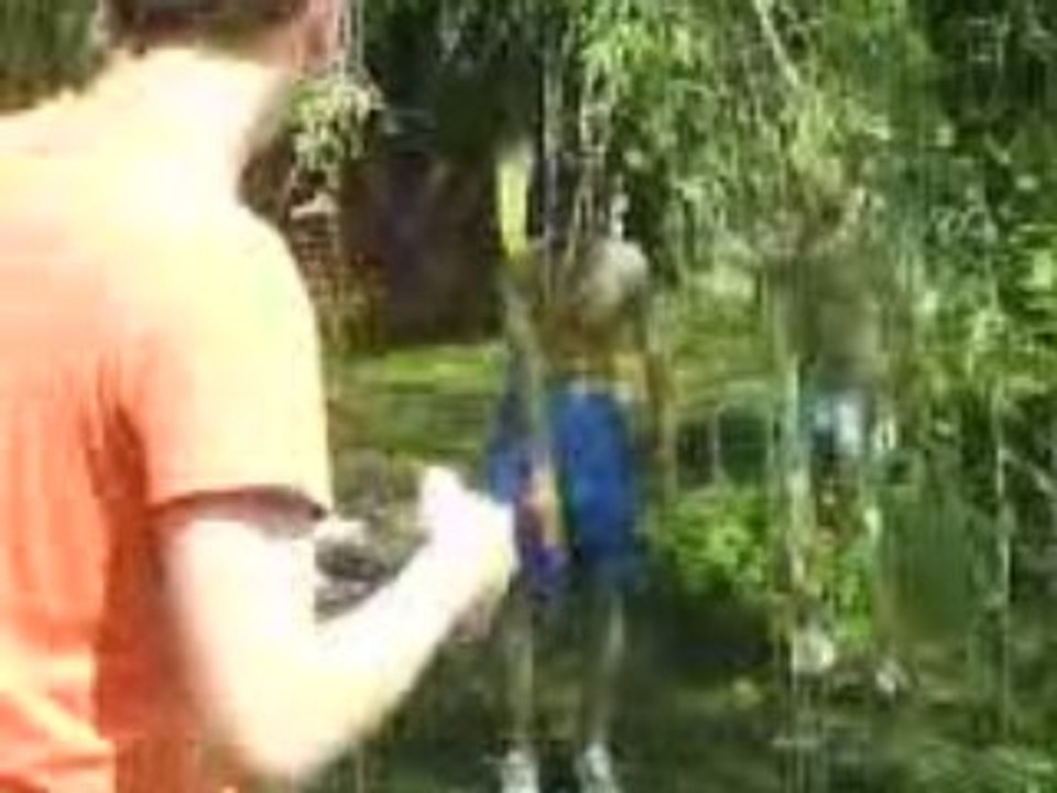 saut de merde