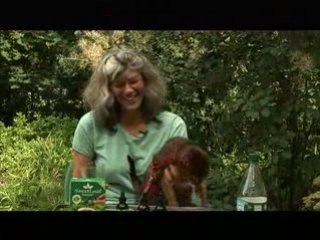 Cat Lady Bottled Water