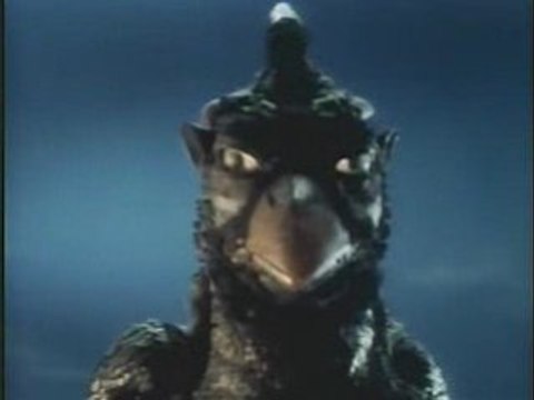 Face Melter - The Japanese Popstars