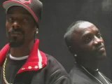 DJ Drama Featuring Akon   Snoop Dogg - Day Dreamin