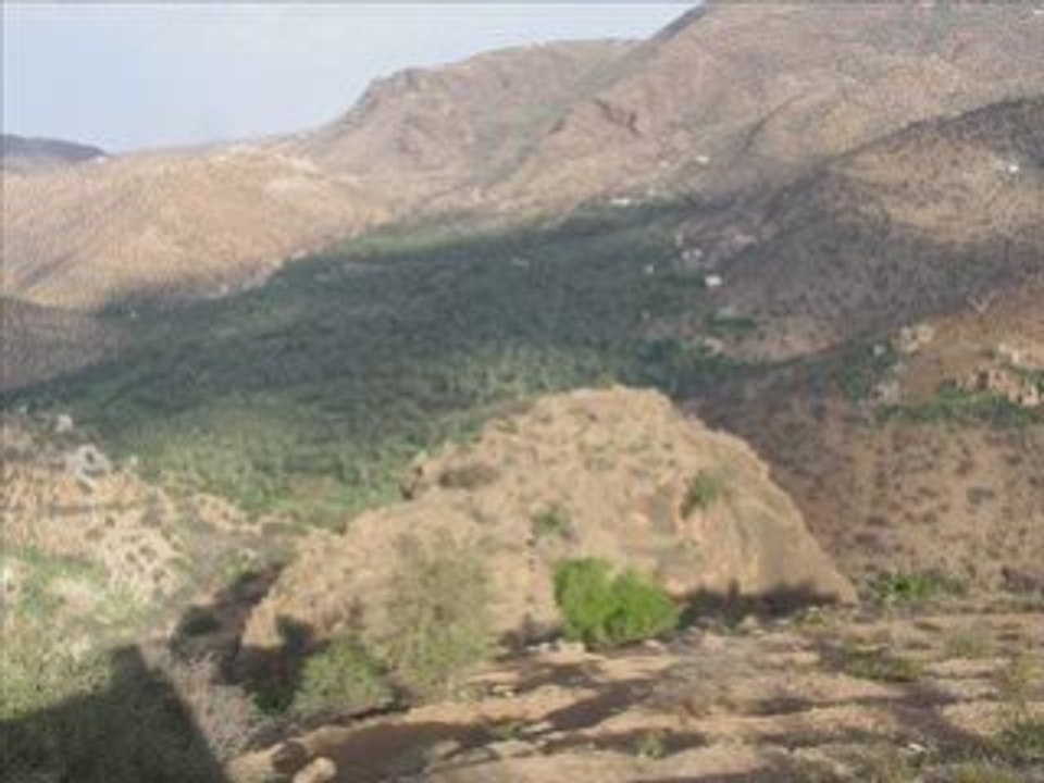 Tagua ntouchka la perle du sud