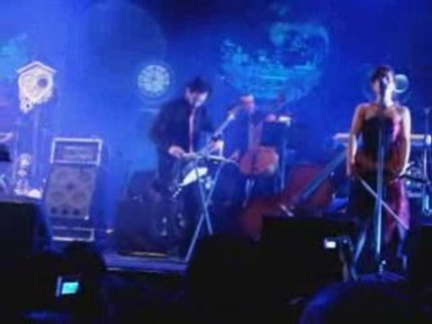 Dionysos . La métamorphose de mister Chat (live)