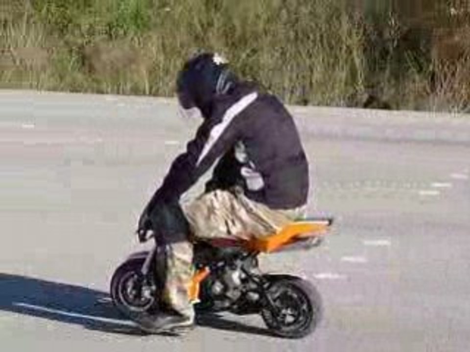 pocket MT4 à bouc bel air