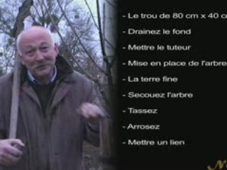 On plante les arbres dès la sainte catherine