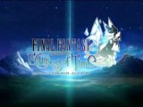 Final Fantasy Christal Chronicles : Echoes of Time - Wifi