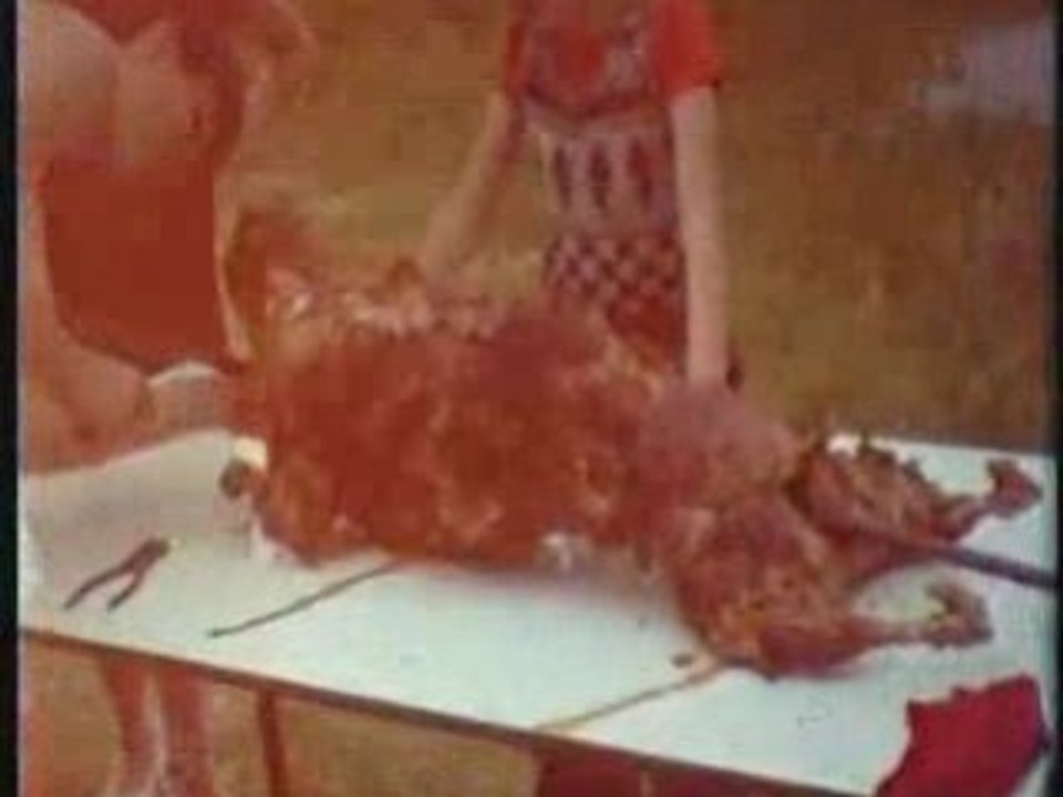 F19 1973 mariage sylviane et michel montage
