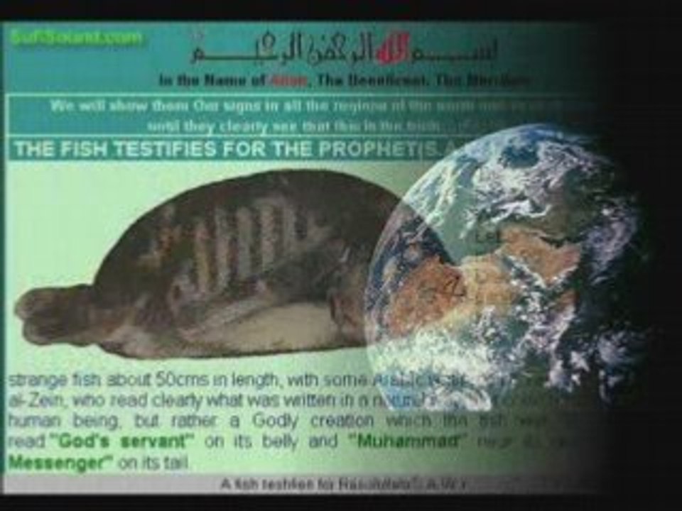 LA  NATURE  QUI  TEMOIGNE