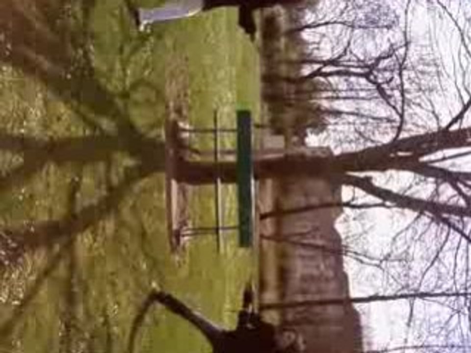 Momo et Dédé tire a la branche xD'