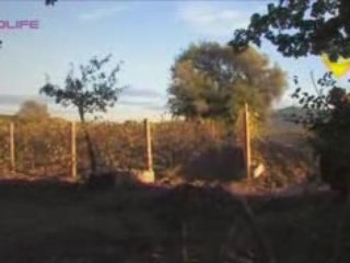 [NolifeTV].Noob.S01E05.HDTV-Mediavision