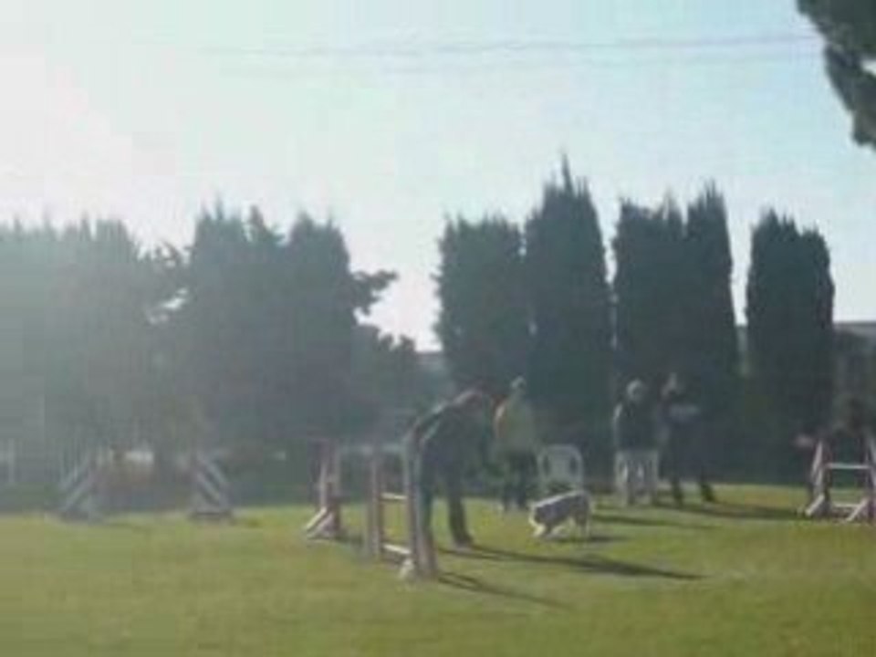 Jumpingfossoraya