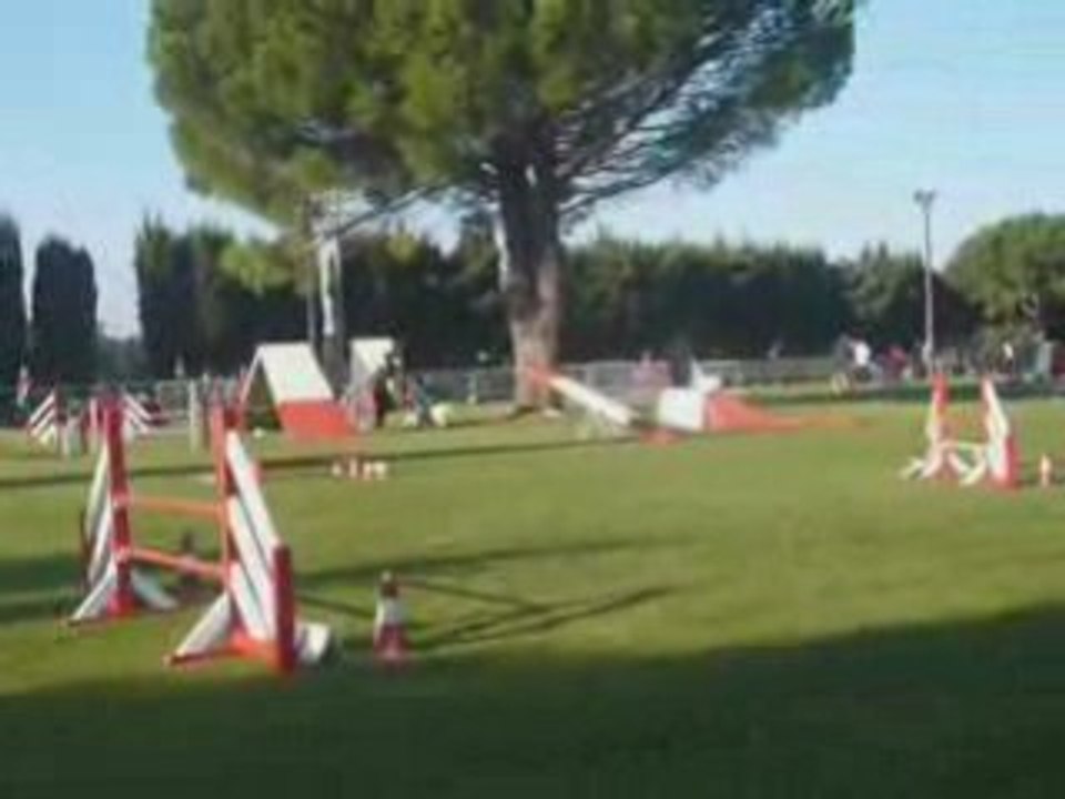 Jumpingfossoraya