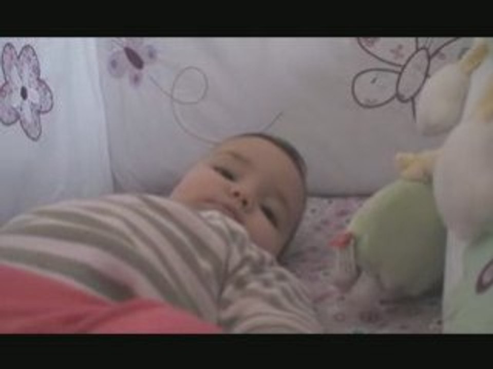Novembre 2008 n°2