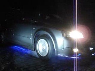 21 Noiembrie 2008 007