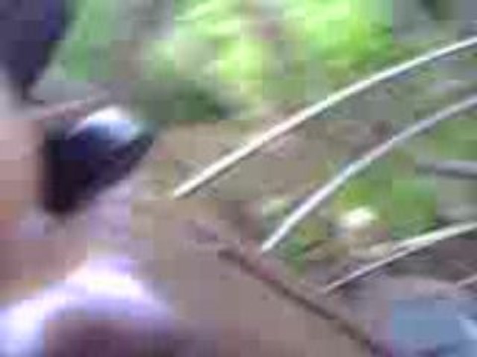 indiana jones disney land paris