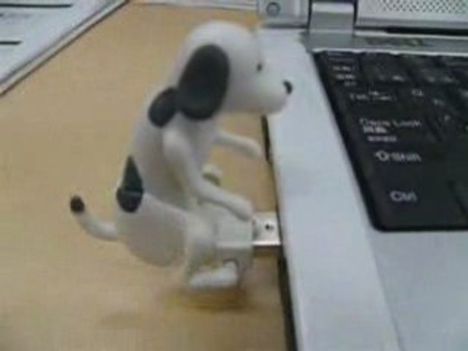 USB Flash