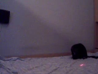 Video Humour - Chat Robotic Laser