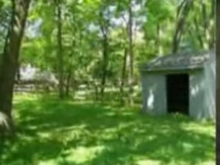 Detached House Oyster Bay