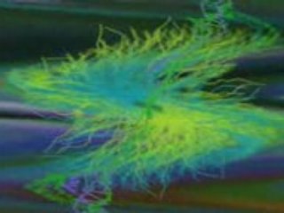 Antonio Jose Mal De Amores /Лиана Бързай, бързай/