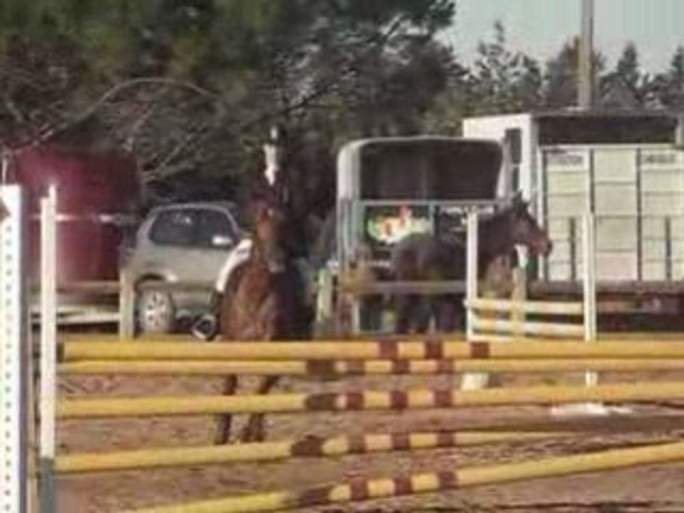 CCE ST GILLES - CHAMPIONNAT REGIONAL - CSO