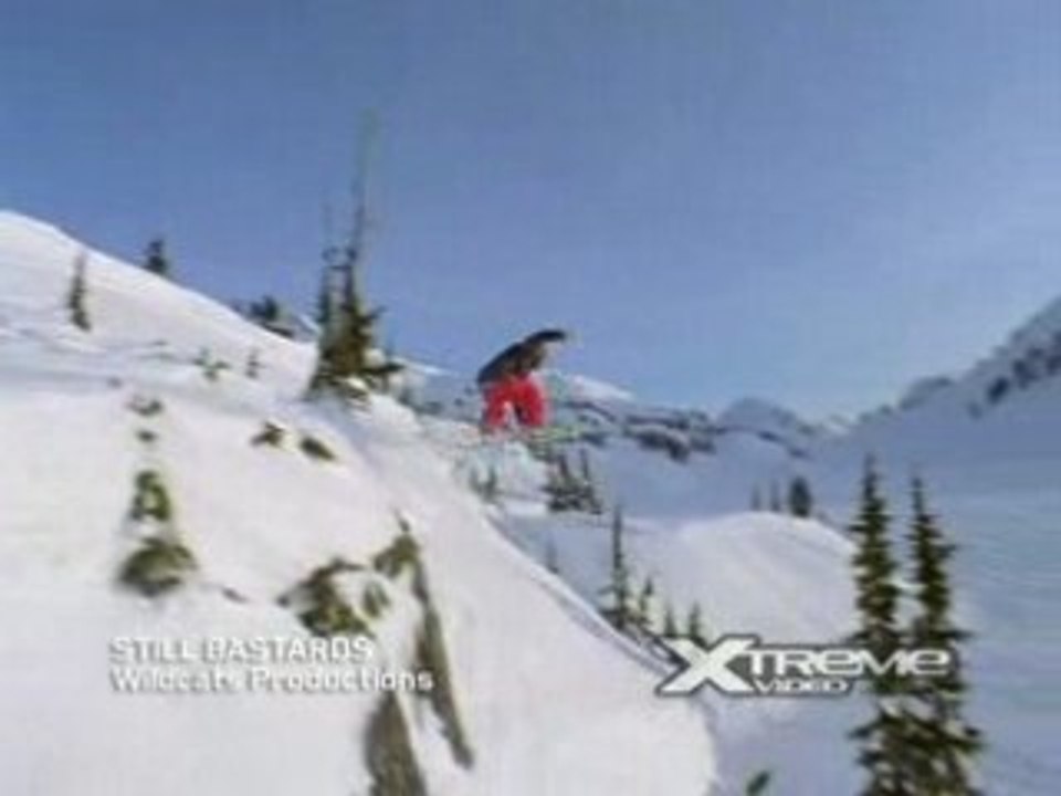 Still Bastards - Wildcats