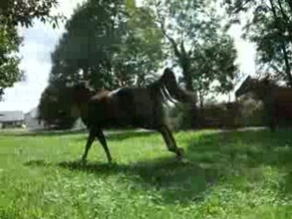 Les trois compères Sept 2008