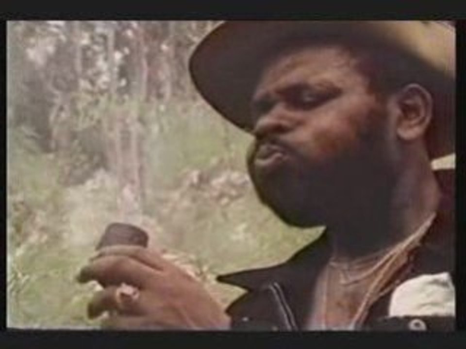 Peter tosh "legalize it" concert live