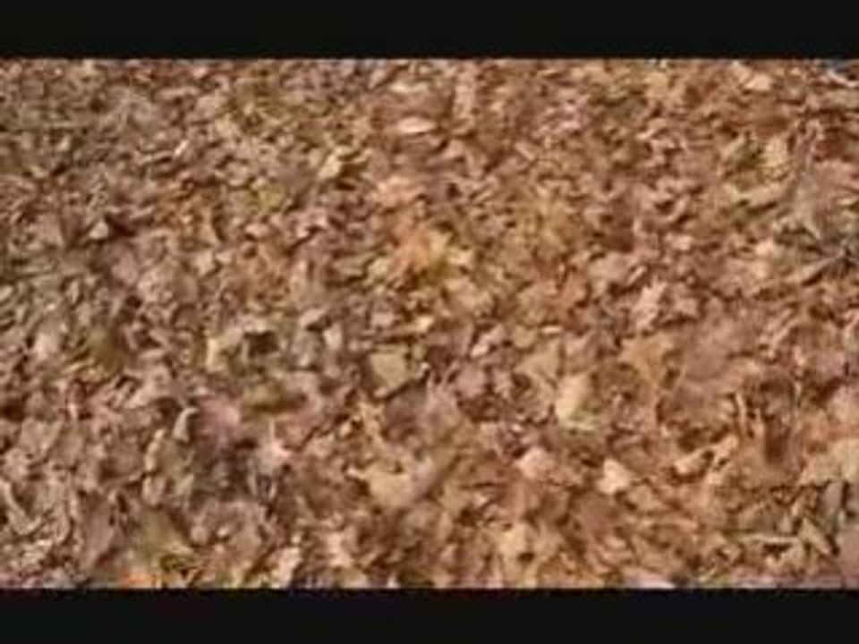 MOVIE0001