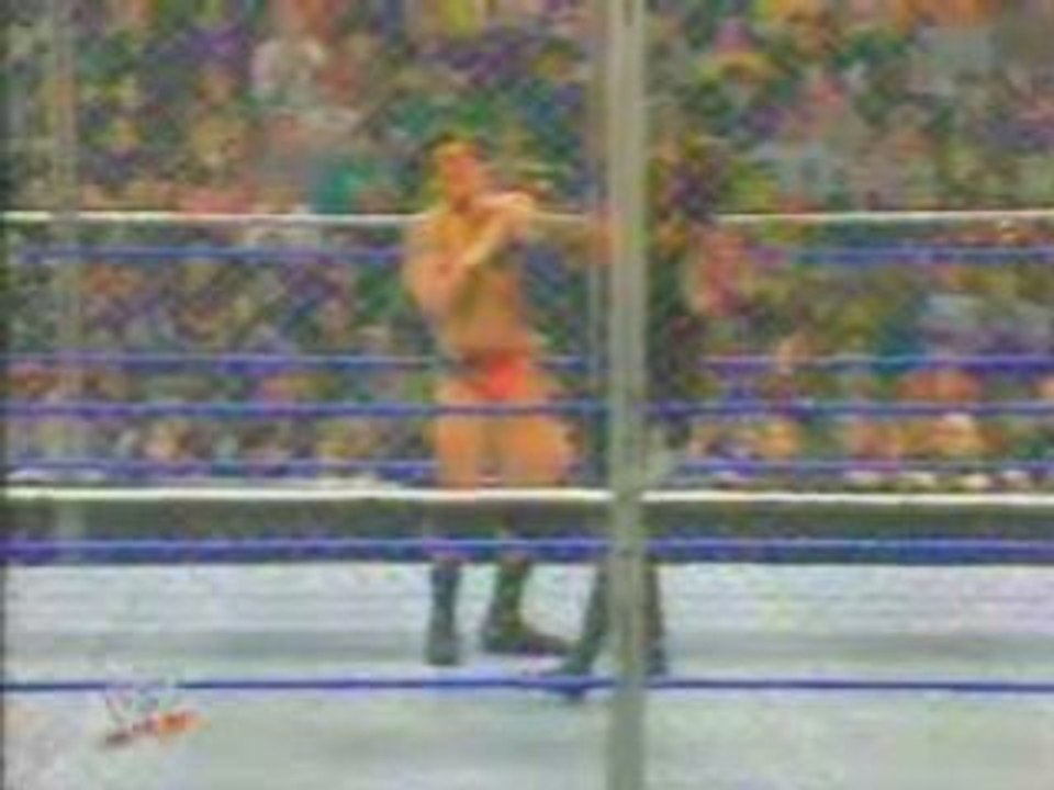 Top 15 des finishers de la WWE