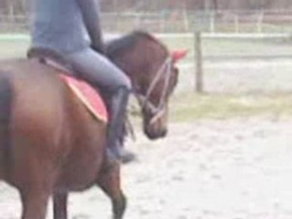 Magica novembre 2008