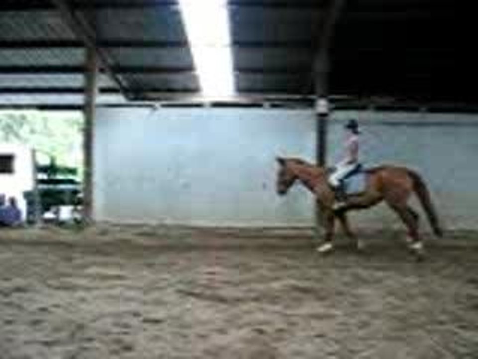 granny galop