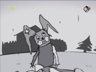 Mis Push-Upek - Kawa