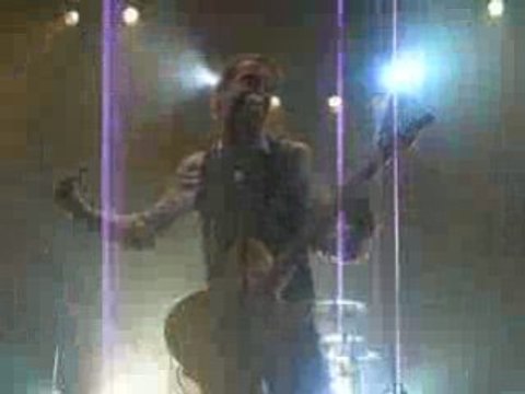 fatals picards lille 21 11 08 punk a chien